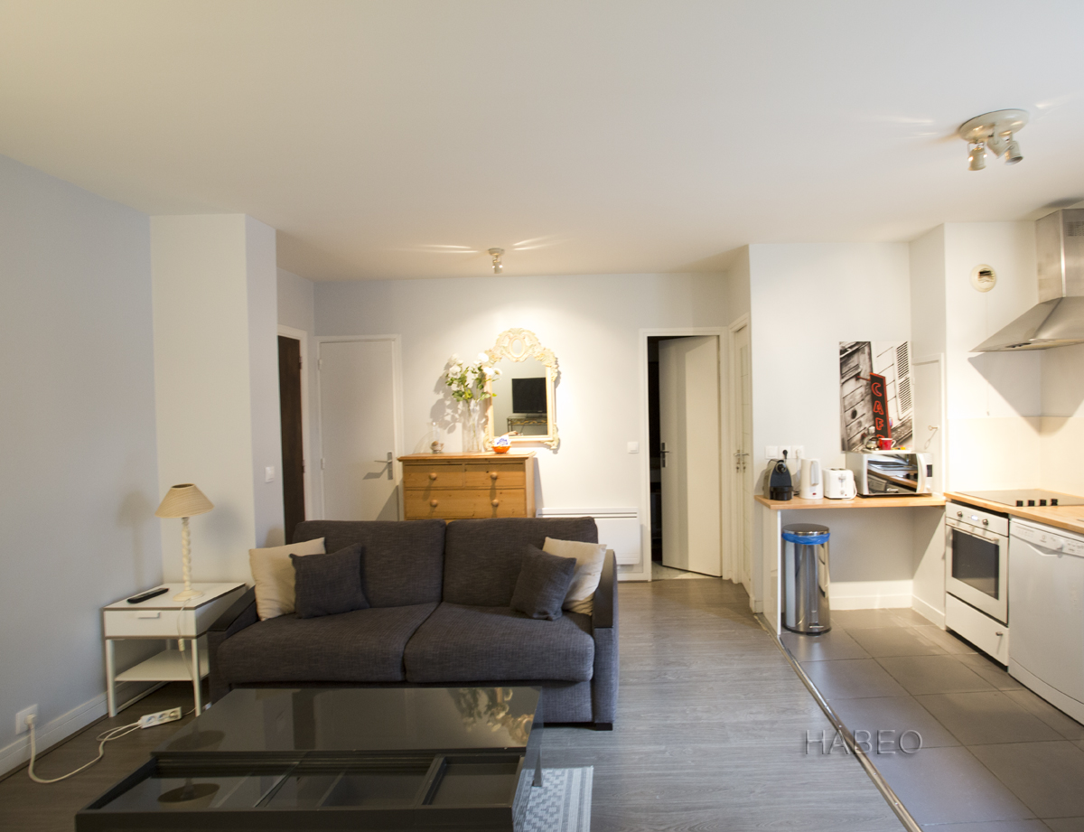 Furnished 1 bedroom apartment in le Marais area - Paris | HABEO